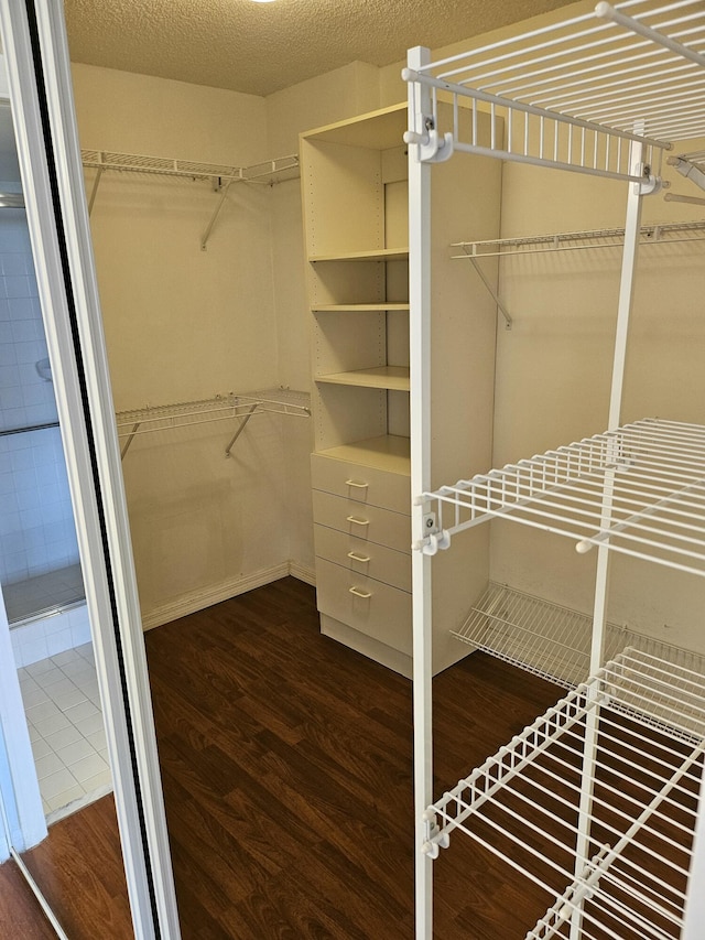 spacious closet featuring dark wood-type flooring