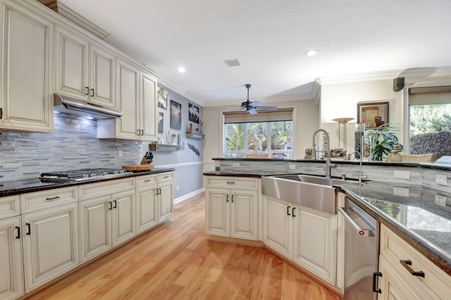 kitchen featuring ceiling fan, sink, stainless steel appliances, and ornamental molding