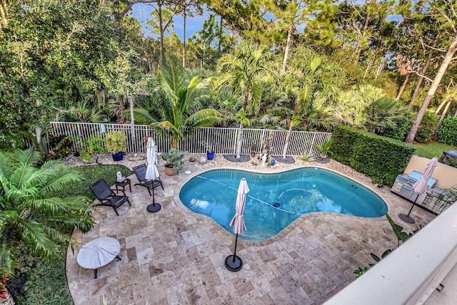 view of swimming pool featuring a patio area