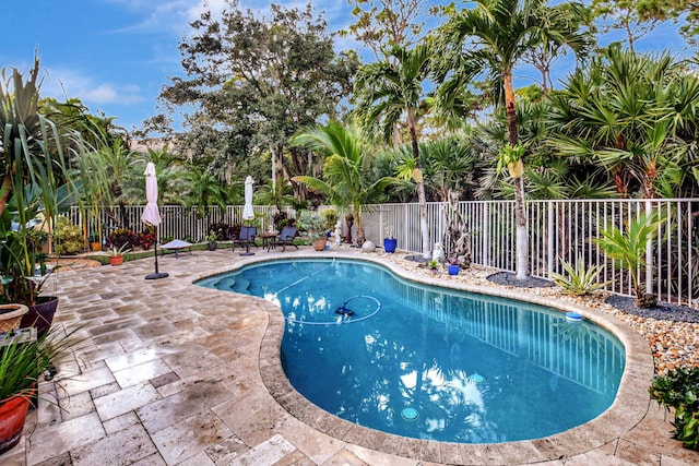 view of swimming pool featuring a patio area