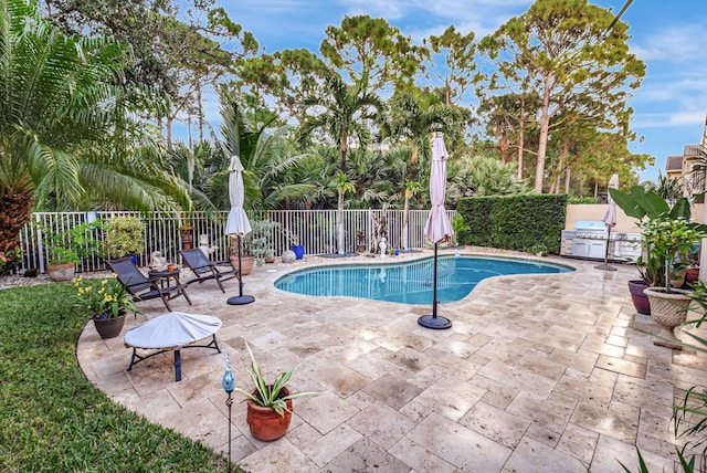 view of pool featuring a patio area