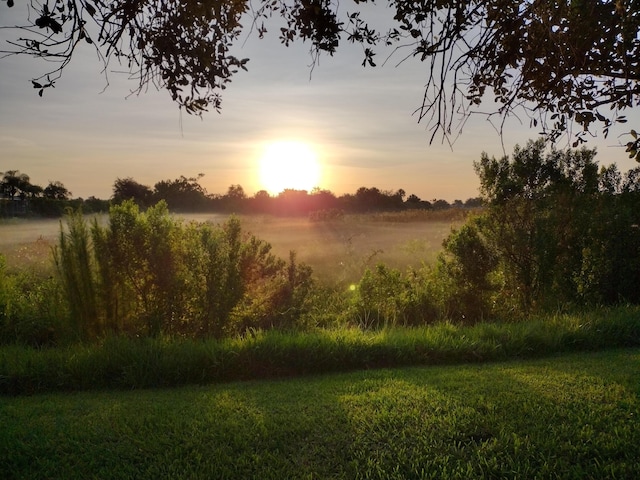 view of nature at dusk