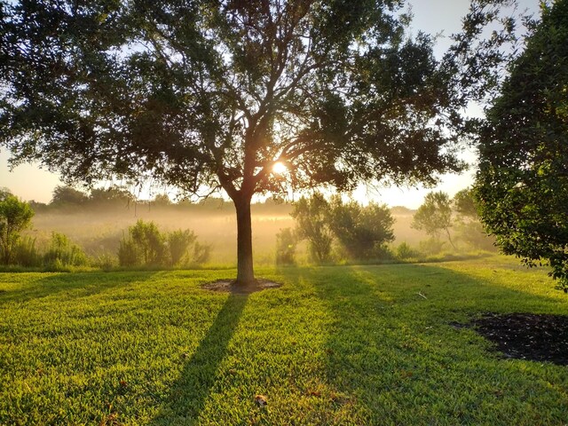 view of nature at dusk