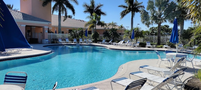 view of swimming pool with a patio area