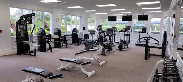 workout area featuring a healthy amount of sunlight, a paneled ceiling, and light colored carpet