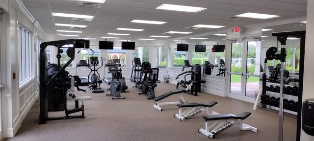 exercise room with a wealth of natural light, light carpet, and a drop ceiling