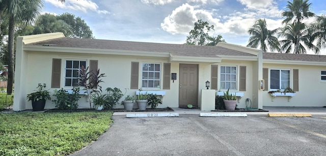 ranch-style house featuring a front yard