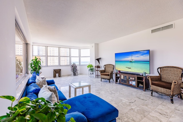 living room featuring a textured ceiling