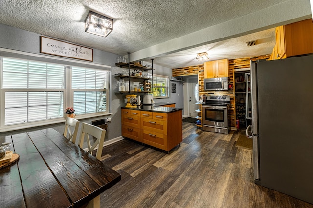 kitchen featuring plenty of natural light, kitchen peninsula, dark wood-type flooring, and appliances with stainless steel finishes