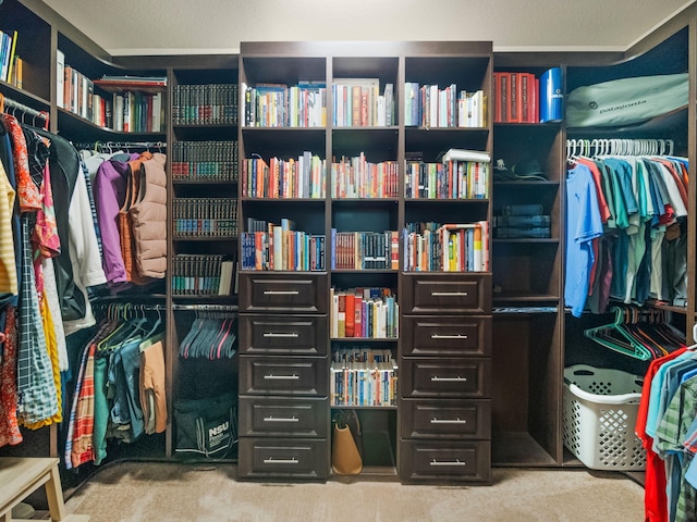 spacious closet with light colored carpet