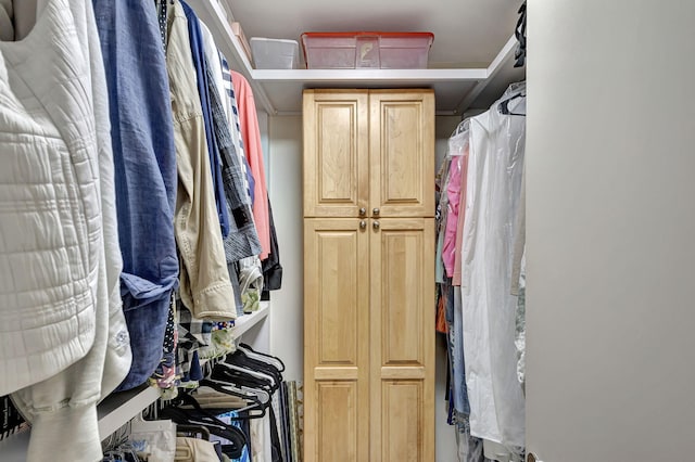 view of spacious closet