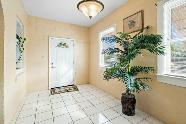 tiled foyer with a wealth of natural light