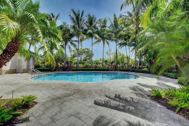 view of pool featuring a patio area