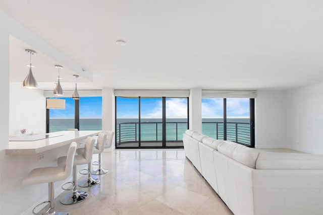 living room with a water view, expansive windows, and a healthy amount of sunlight