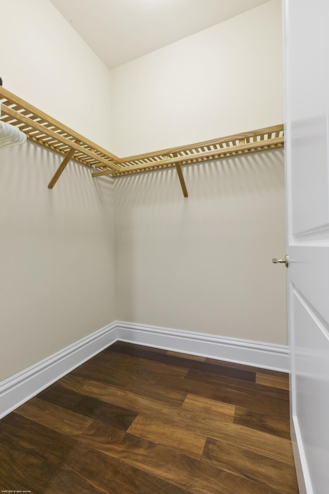 walk in closet with wood-type flooring