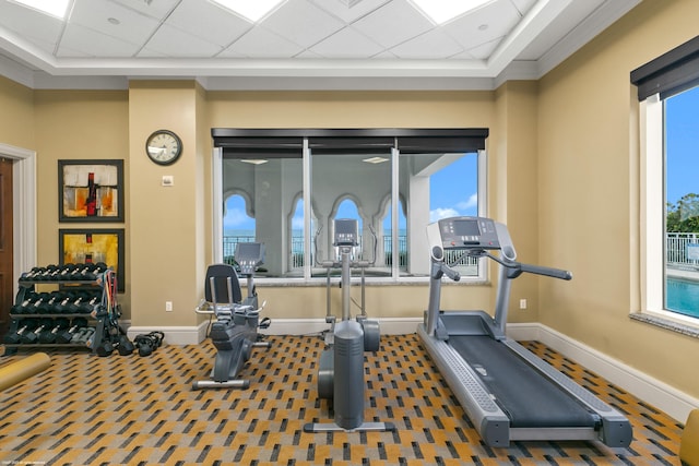 workout room featuring a paneled ceiling, carpet floors, and ornamental molding