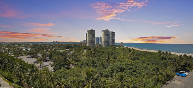 aerial view at dusk featuring a water view