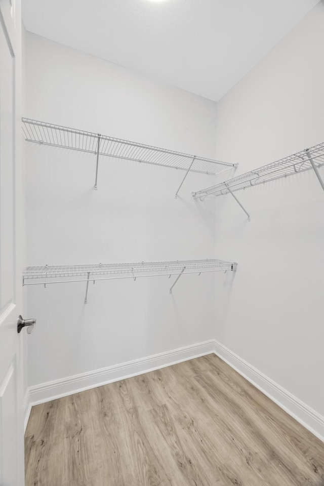 walk in closet with hardwood / wood-style flooring