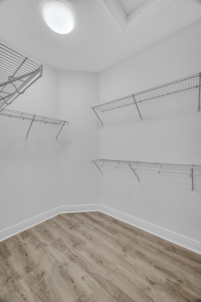 spacious closet with light wood-type flooring