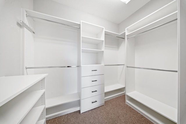 spacious closet with carpet