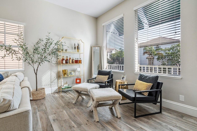 sitting room with hardwood / wood-style floors