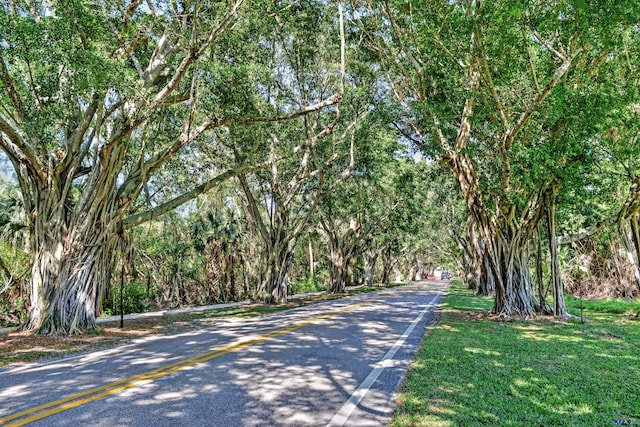 view of road