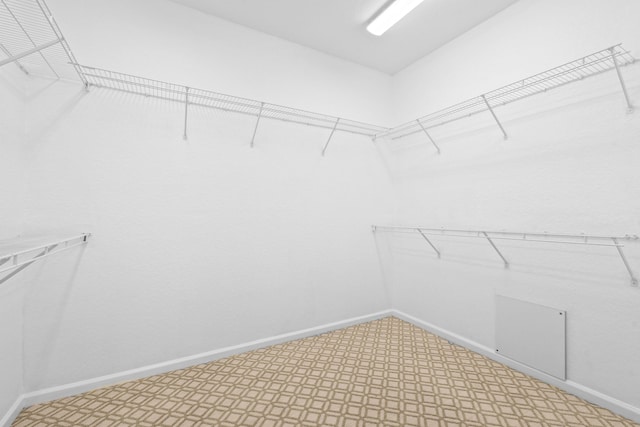 view of spacious closet