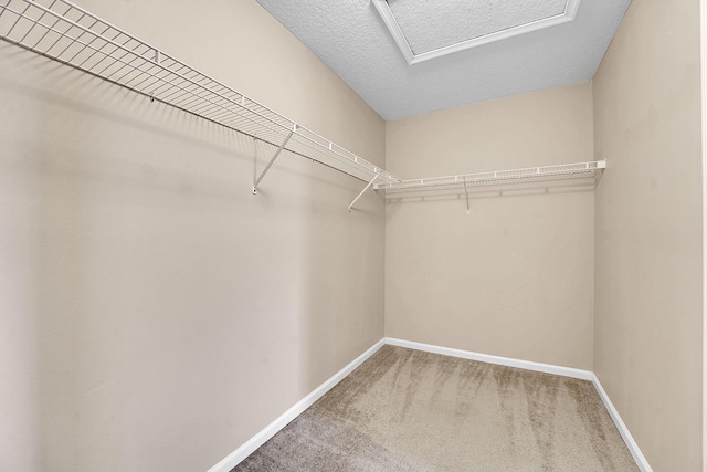 spacious closet with carpet flooring