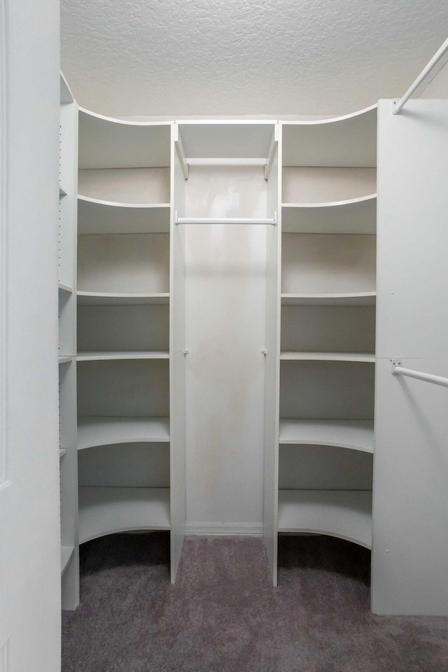 spacious closet featuring dark colored carpet