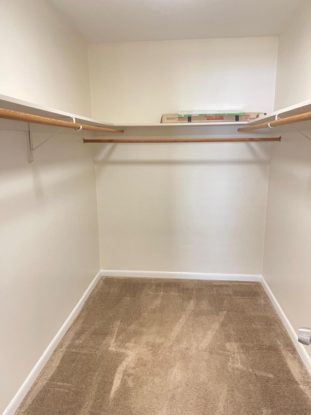 spacious closet with carpet