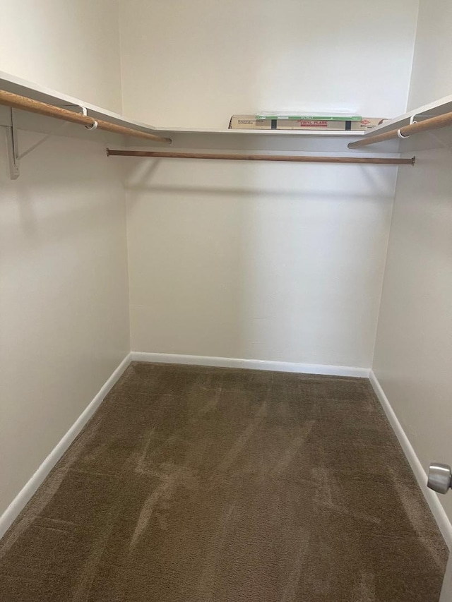 spacious closet featuring dark colored carpet