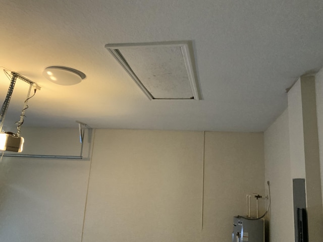 room details featuring water heater, electric panel, and a garage door opener