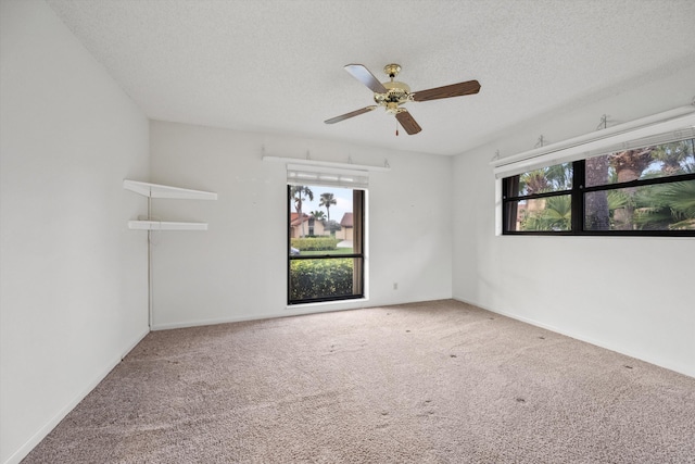 empty room with carpet, a textured ceiling, and a wealth of natural light