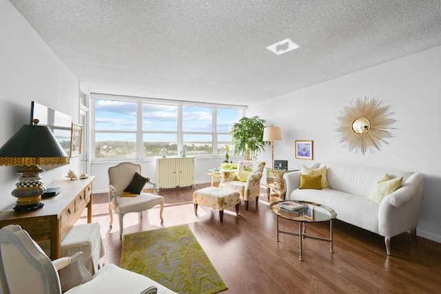 living room with dark wood-type flooring and a textured ceiling