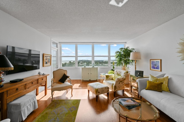 living room with a textured ceiling and hardwood / wood-style flooring