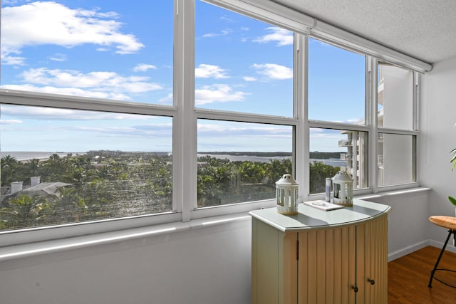 interior space featuring hardwood / wood-style floors, a water view, and a textured ceiling