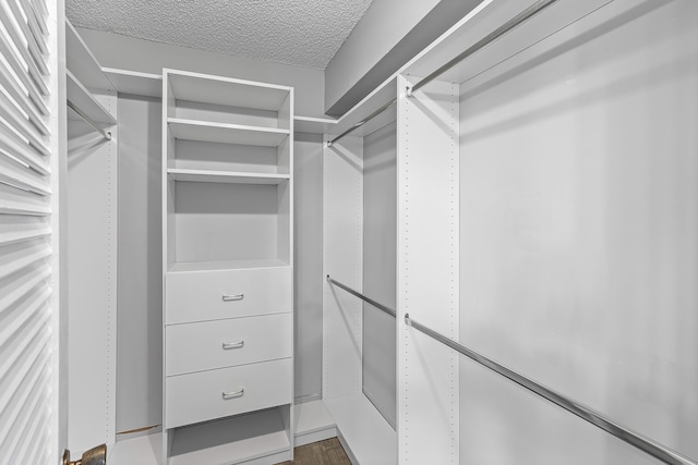 spacious closet with hardwood / wood-style floors