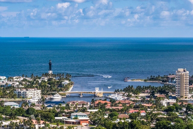 drone / aerial view featuring a water view