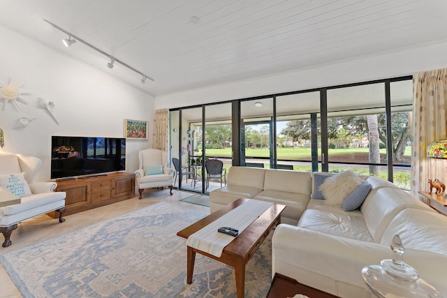 tiled living room featuring a healthy amount of sunlight, wooden ceiling, and track lighting