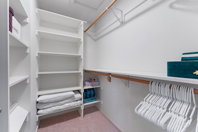 spacious closet with carpet floors