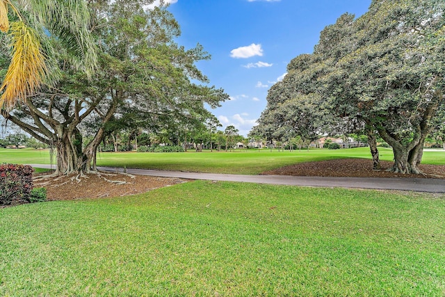 view of property's community featuring a yard