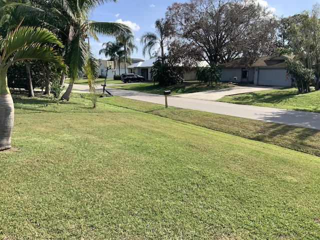 view of yard featuring a residential view and concrete driveway