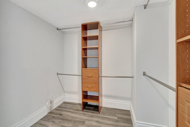 walk in closet featuring light wood-type flooring