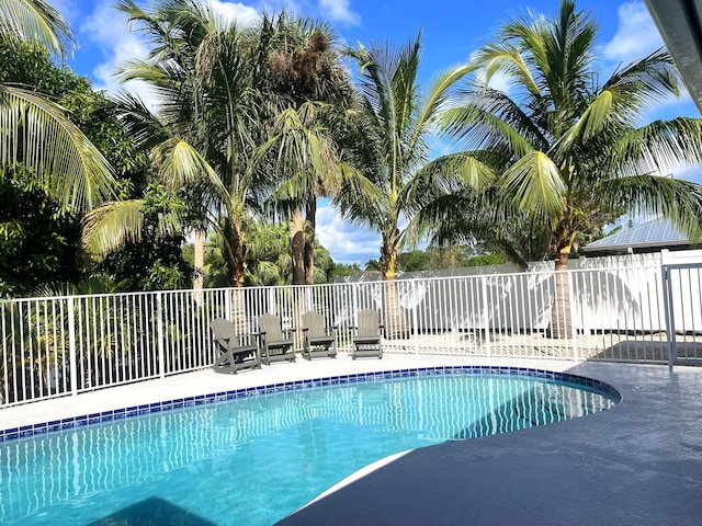 view of swimming pool featuring a patio area