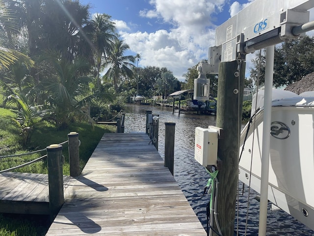 dock area with a water view