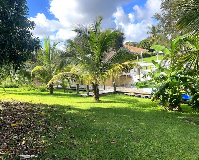 view of property's community with a water view, a yard, and a dock