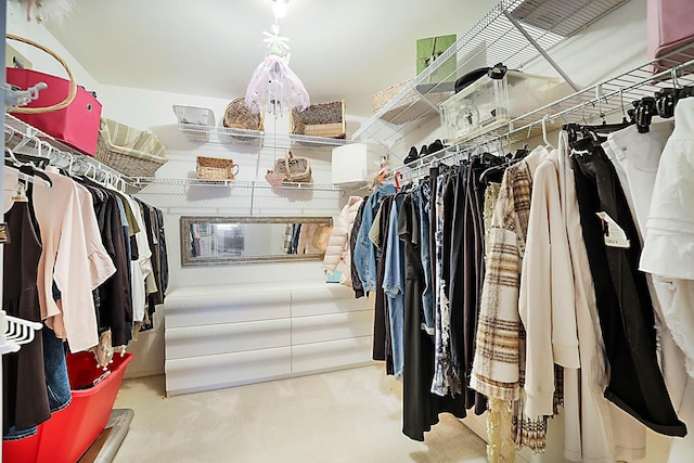 spacious closet featuring light carpet