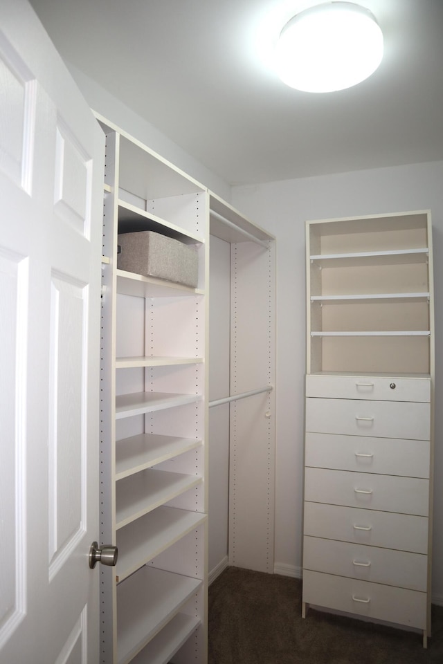 walk in closet featuring dark colored carpet