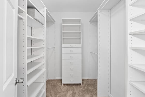 spacious closet with carpet