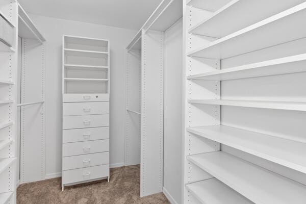 spacious closet with carpet